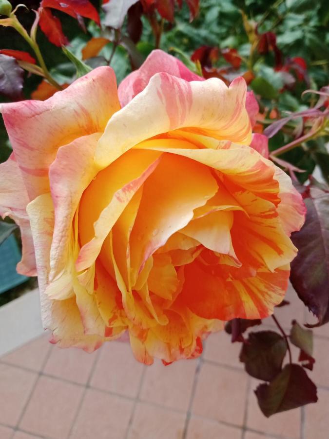 Casapatrizia B&B ซีร์มิโอเน ภายนอก รูปภาพ