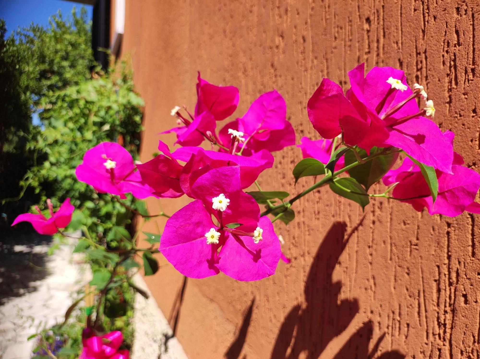 Casapatrizia B&B ซีร์มิโอเน ภายนอก รูปภาพ